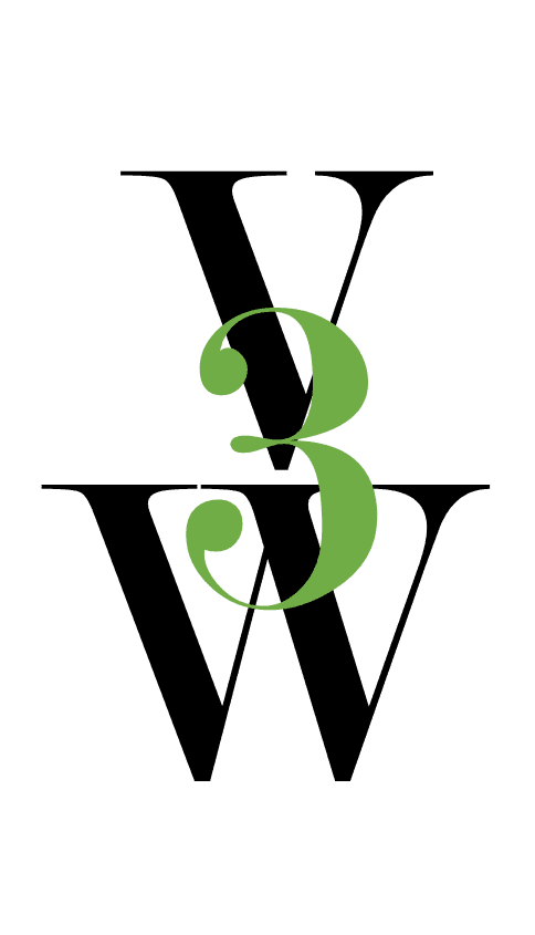 V3W Enterprises logo